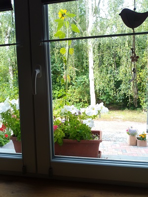 Monteurzimmer: 2 Ferienwohnungen "An der Alten Ziegelei"