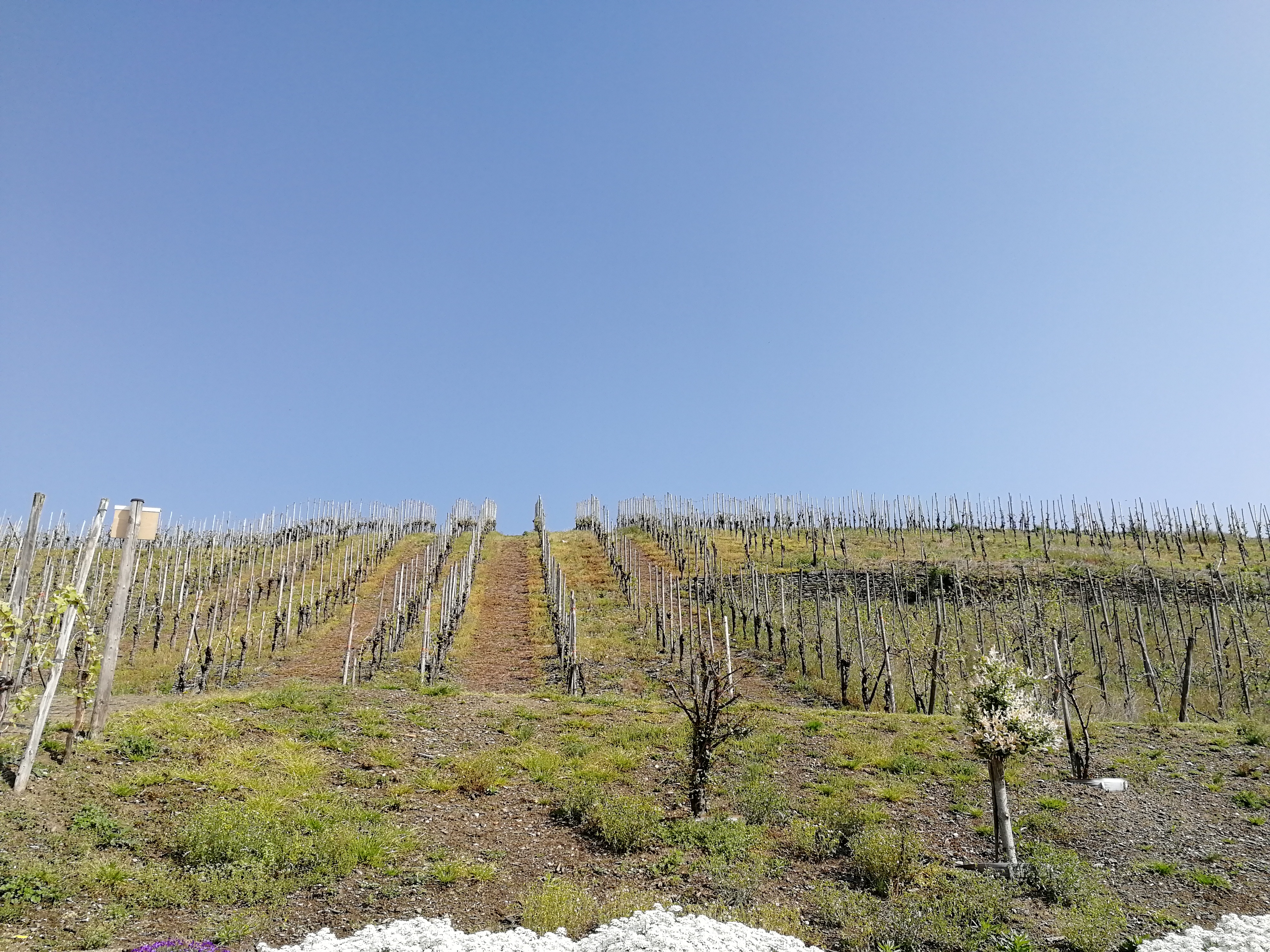 Monteurzimmer: Gästehaus Bausch