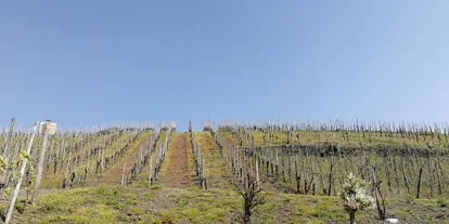 Monteurwohnung - TV - Trier - Gästehaus Bausch