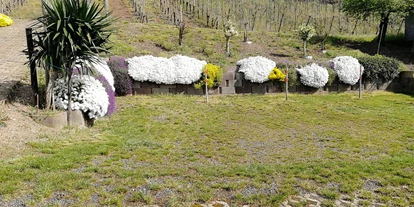 Monteurwohnung - TV - Trier - Gästehaus Bausch