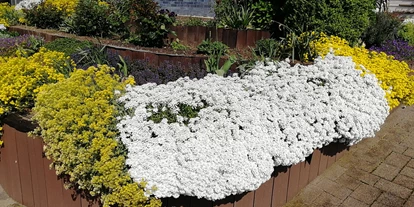 Monteurwohnung - TV - Trier - Gästehaus Bausch