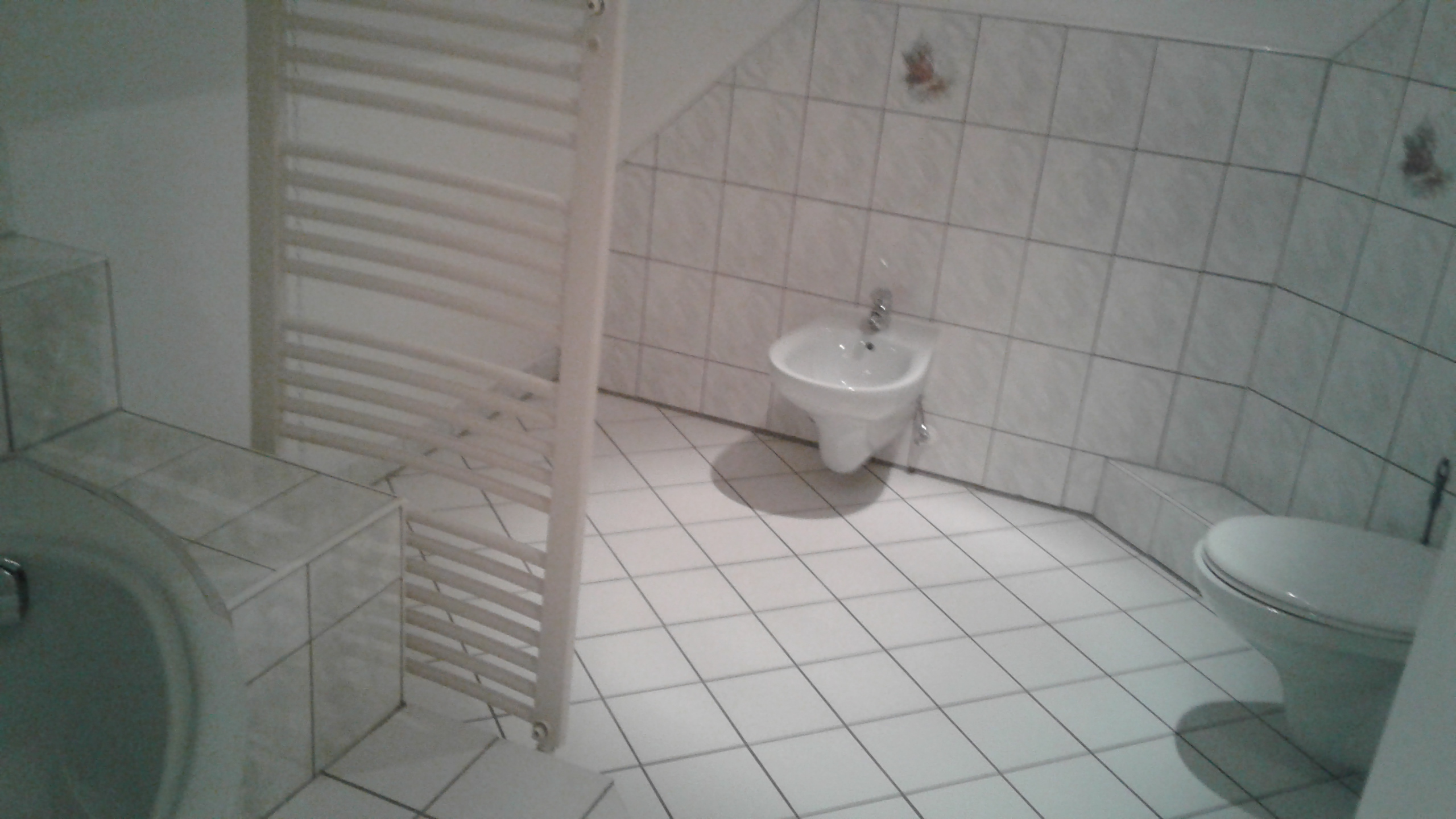 Monteurwohnung - TV - Dammfleth - Eddelak bei Brunsbüttel, Monteurzimmer