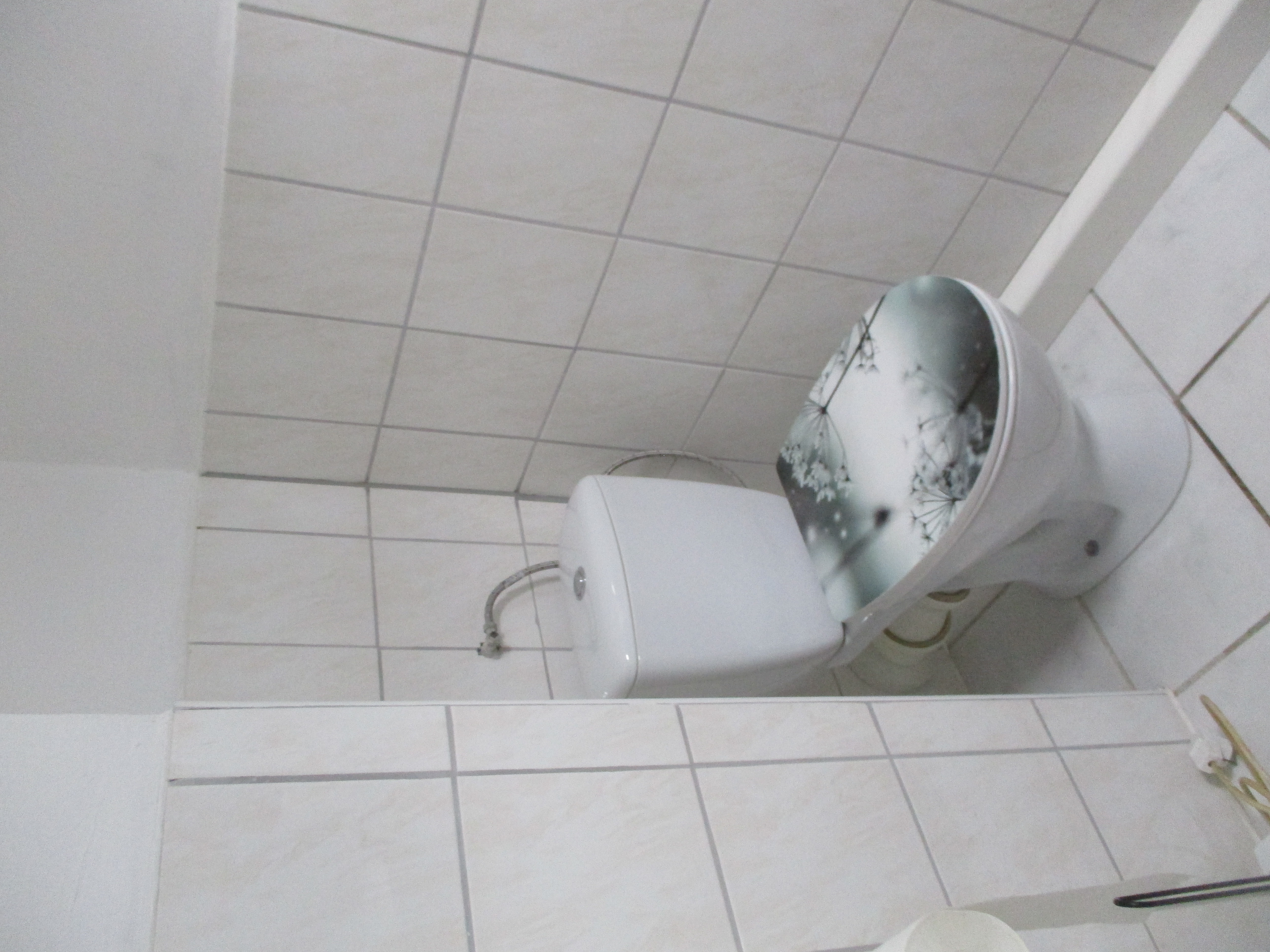 Monteurzimmer: WC - Wruck,bei alf und inge