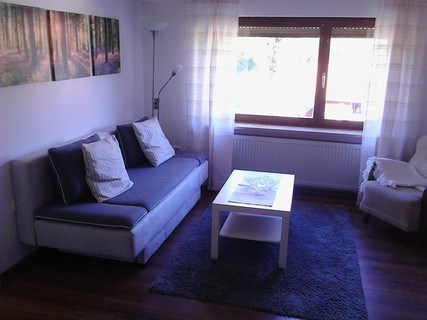 Monteurzimmer: Wohnzimmer mit Schlafcouch  - FeWo Gleiss Rieneck