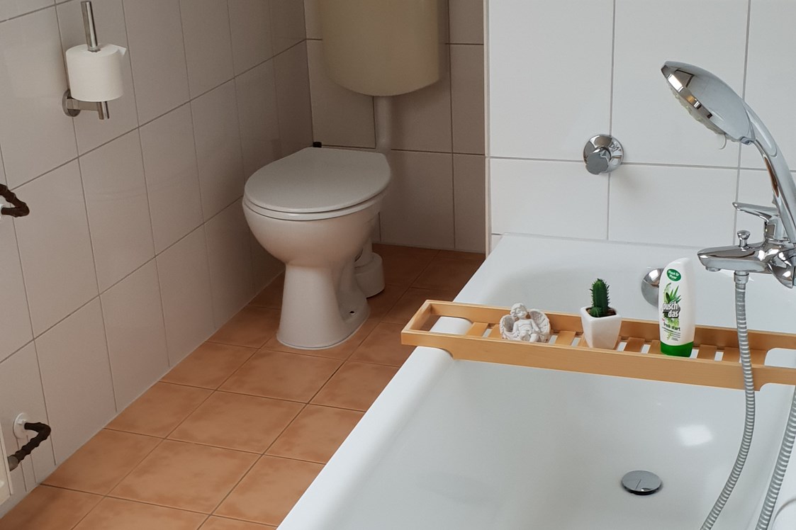 Monteurzimmer: Toilette  - Wohnung S8 Monteure/Messe/Familien 