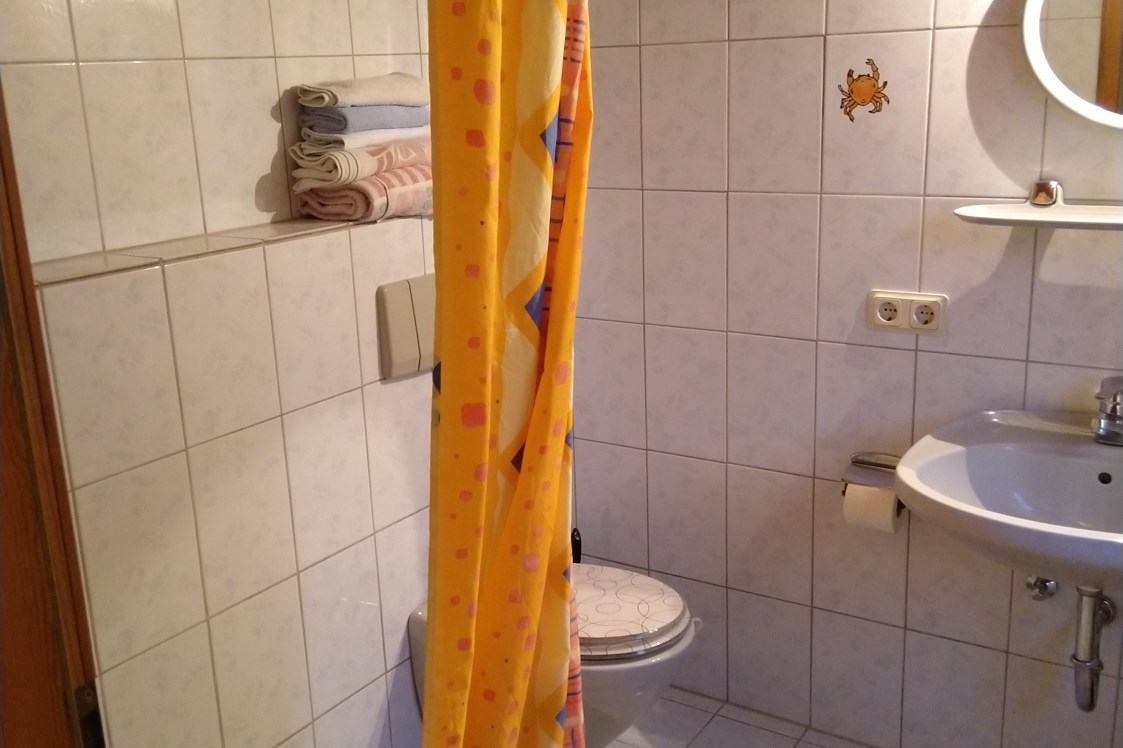 Monteurzimmer: Dusche und WC - Appartment im Grünen