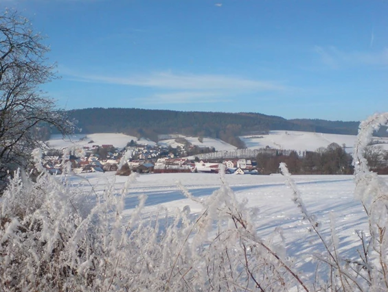 Monteurzimmer: Ferienwohnung & Monteurunterkunft Gauder