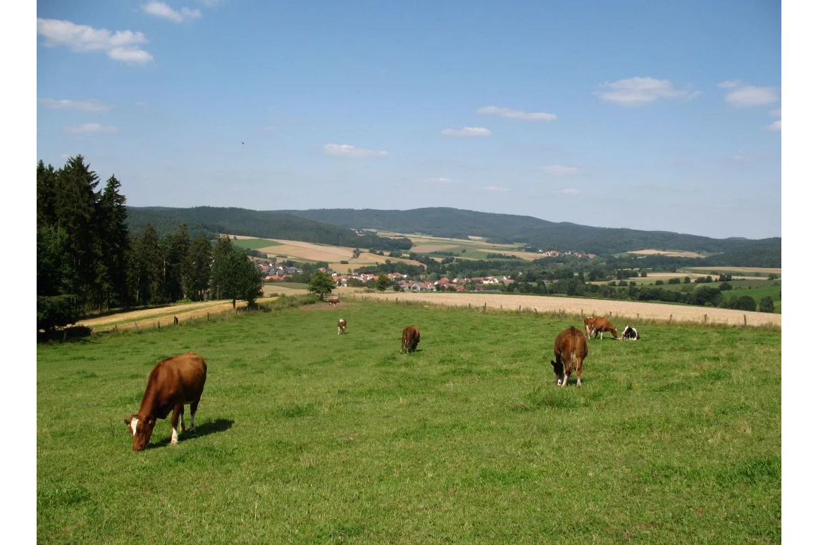 Monteurzimmer: Ferienwohnung & Monteurunterkunft Gauder