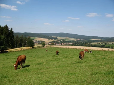Monteurzimmer: Ferienwohnung & Monteurunterkunft Gauder